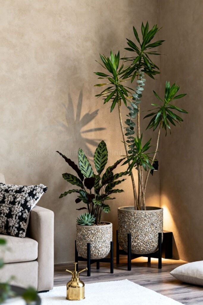 Corner Plant Cluster With Mixed Heights and Pebble Pots